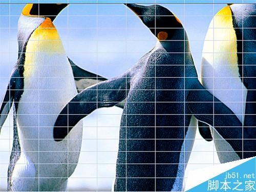 在EXCEL表格中怎么插入类似字母的特殊符号?