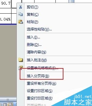 在excel表格中怎么设置及删除分页?