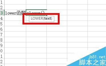 在Excel中如何将文本转换为小写形式?