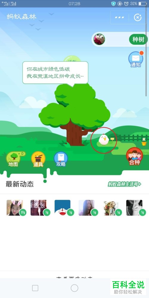 支付宝蚂蚁庄园里的小鸡怎么换装扮？