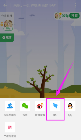 支付宝怎么邀请钉钉好友一起合种树?