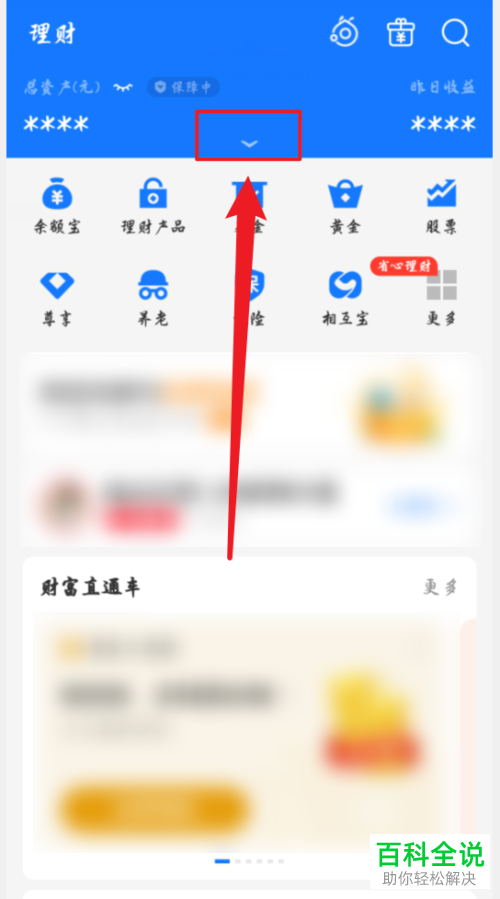 支付宝APP中自己的理财详情如何查看