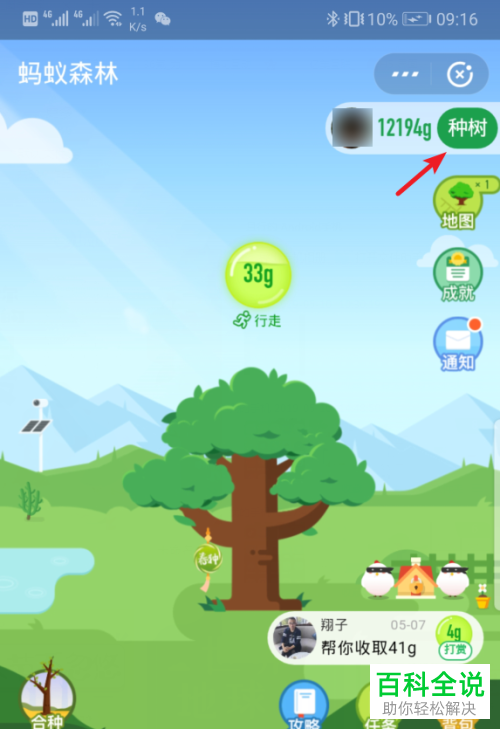 支付宝App中如何设置蚂蚁森林首页显示小鹿