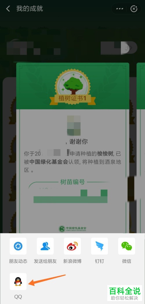 支付宝如何查看并分享蚂蚁森林环保证书