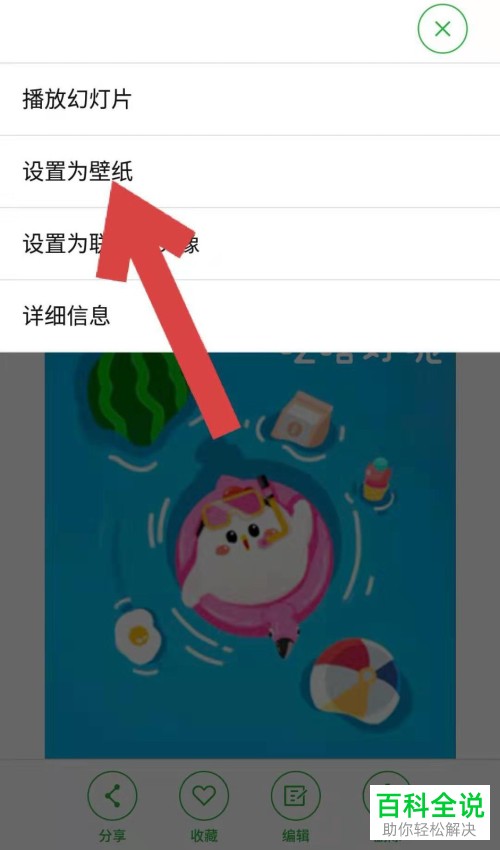 支付宝怎样下载小鸡壁纸?