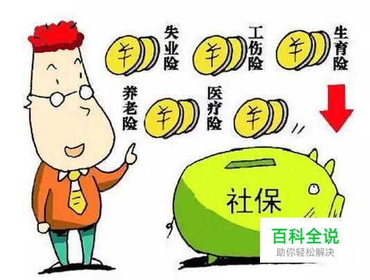 支付宝上怎么使用电子社保卡？