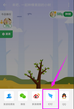 支付宝怎么邀请钉钉好友一起合种树?