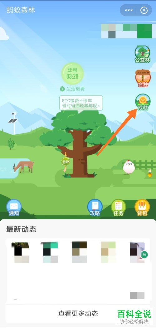 支付宝如何查看并分享蚂蚁森林环保证书