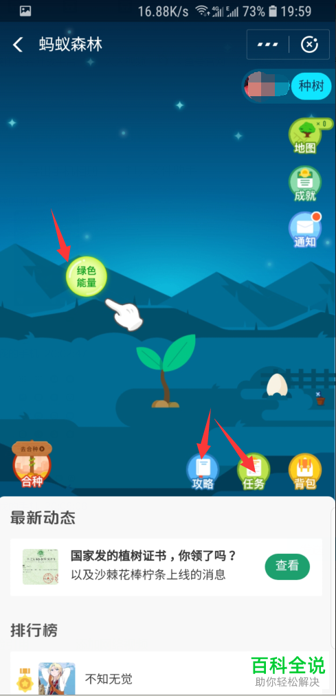 支付宝蚂蚁森林在哪儿怎么玩