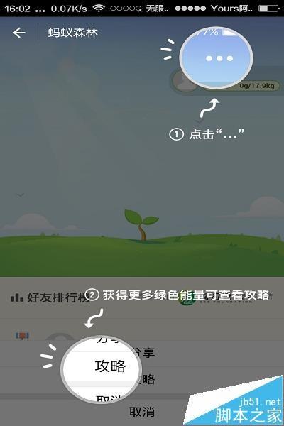 支付宝app怎么参加蚂蚁森林活动?
