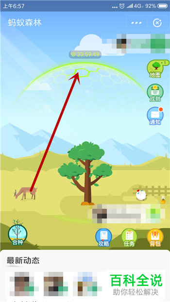 支付宝蚂蚁森林能量保护罩的使用方法