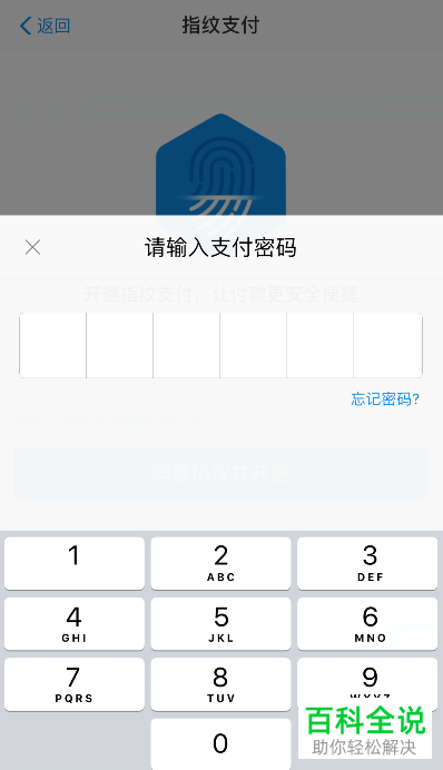 支付宝怎么设置开启指纹支付