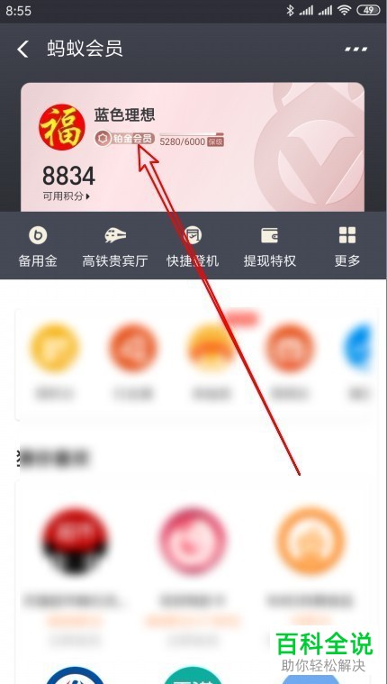 支付宝查看自己的蚂蚁会员等级的步骤解析
