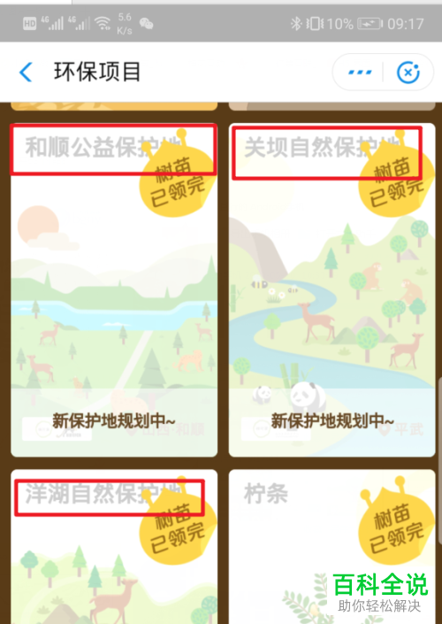 支付宝App中如何设置蚂蚁森林首页显示小鹿