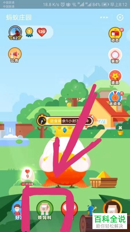 支付宝庄园小课堂中“公益数据在哪里”可以查看的答案