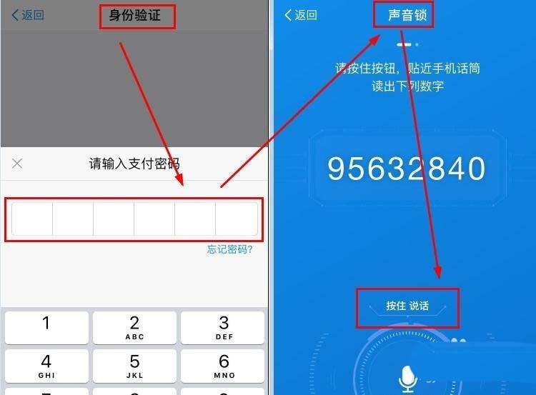 支付宝怎么设置声音锁? 支付宝声音锁的开启方法