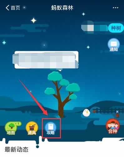 支付宝蚂蚁森林怎么隐藏自己的步数?