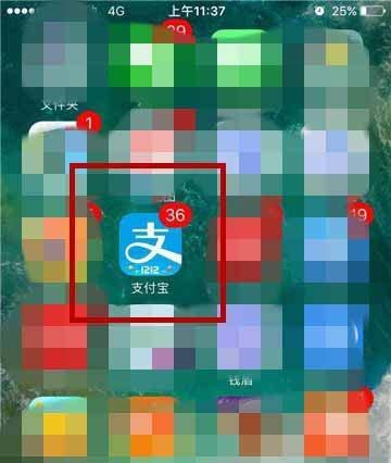 支付宝航班延误险在哪? 支付宝购买航班延误险的方法