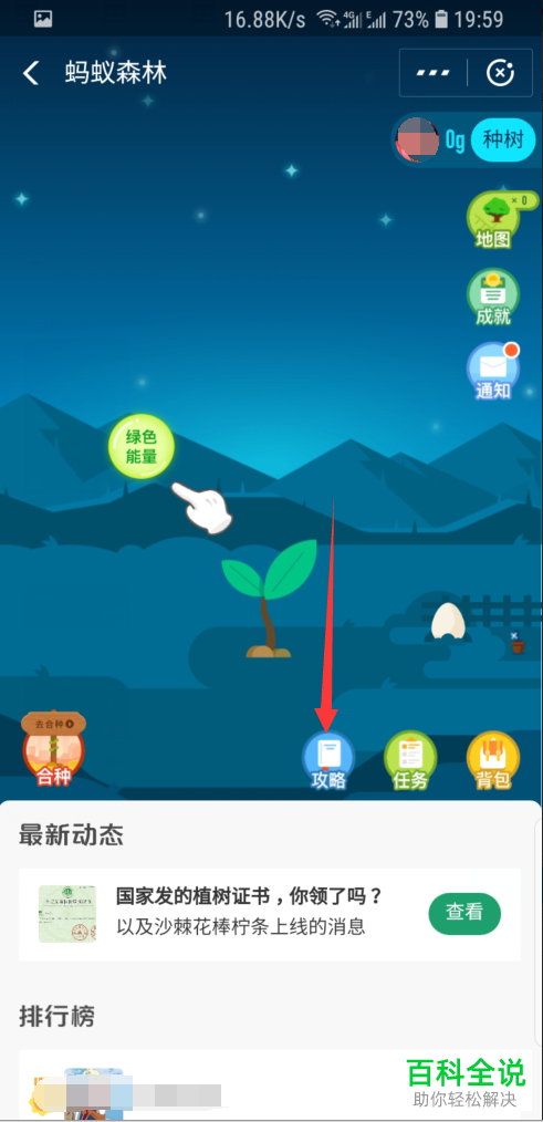 支付宝蚂蚁森林在哪儿怎么玩