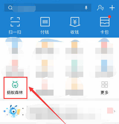 支付宝蚂蚁森林怎么隐藏自己的步数?