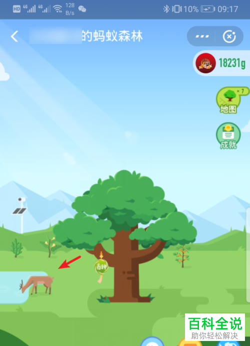 支付宝App中如何设置蚂蚁森林首页显示小鹿