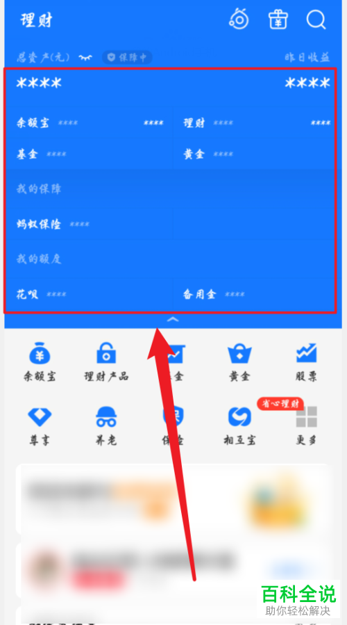 支付宝APP中自己的理财详情如何查看