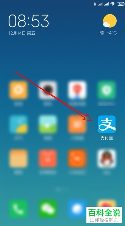 支付宝查看自己的蚂蚁会员等级的步骤解析