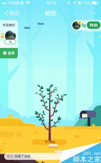 支付宝蚂蚁森林怎么合种？ 蚂蚁森林合种树种植教程