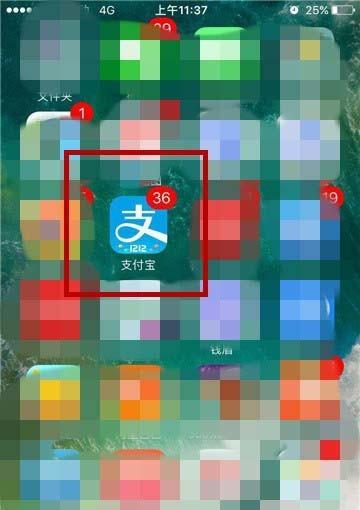 支付宝商户怎么使用经营分析查看每周的生意情况?