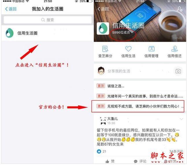 支付宝怎么打开信用生活圈  支付宝信用生活圈打开方法教程