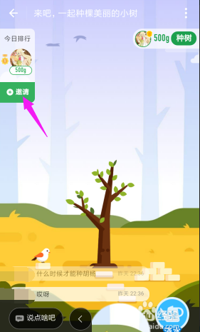 支付宝怎么邀请钉钉好友一起合种树?
