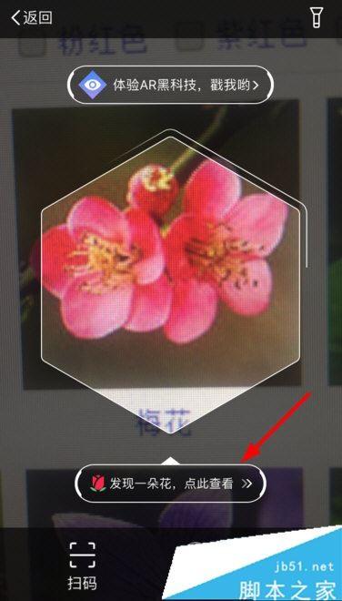 支付宝AR识花怎么玩 支付宝七夕ar识花玩法一览