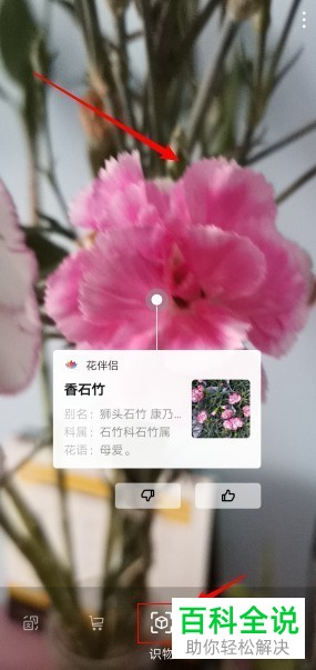 在华为手机中怎么识别植物？