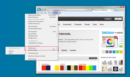 在IE9浏览器中打开\