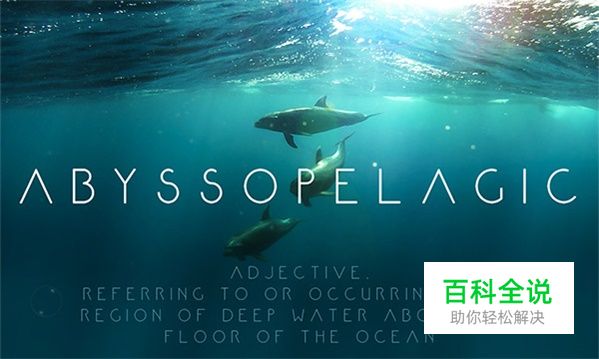 最具有诚意的50组英文字体