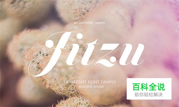 最具有诚意的50组英文字体