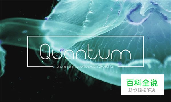 最具有诚意的50组英文字体