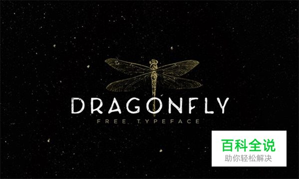 最具有诚意的50组英文字体