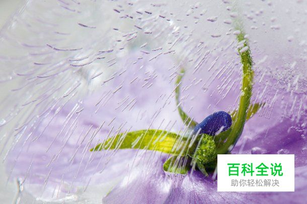 在家也能拍的15道摄影练习