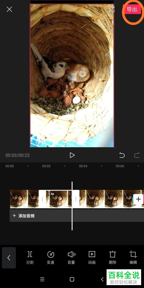 在剪映APP中如何分割视频片段