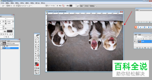 怎么180度旋转电脑ps软件内的画布