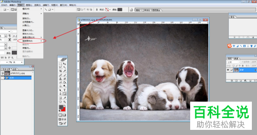 怎么180度旋转电脑ps软件内的画布