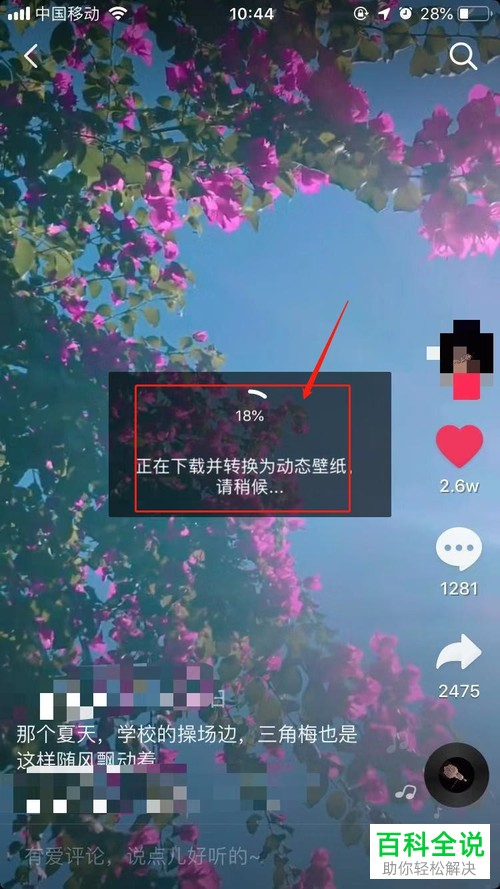 怎么把抖音视频设置成手机的动态壁纸