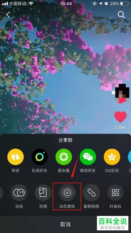 怎么把抖音视频设置成手机的动态壁纸