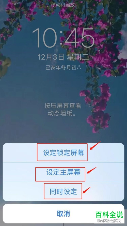 怎么把抖音视频设置成手机的动态壁纸