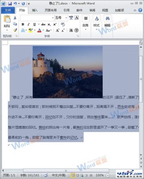 怎么把Word的内容以图片格式插入到Excel2010中? 1