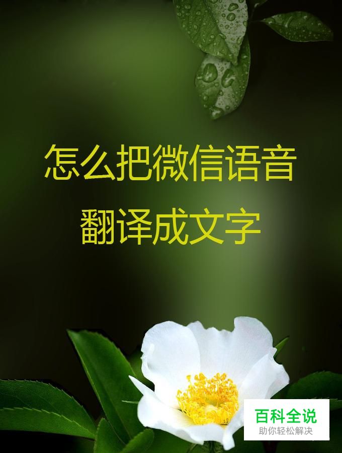 怎么把微信语音翻译成文字