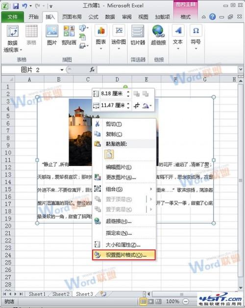 怎么把Word的内容以图片格式插入到Excel2010中? 1