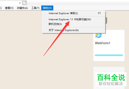 怎么查看win10电脑中的ie版本