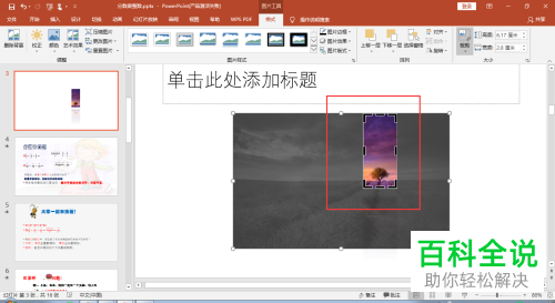 怎么裁剪2016版MS ppt中插入的图片